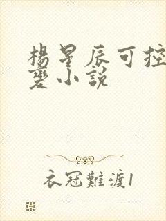 杨星辰可控核聚变小说