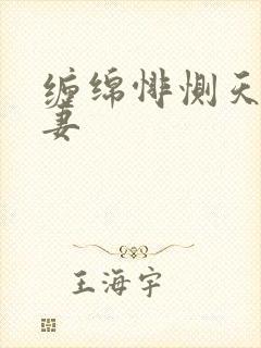 缠绵悱恻天价前妻