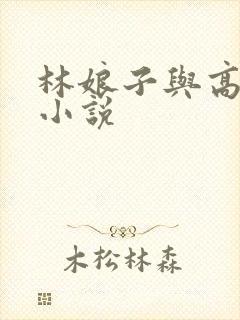 林娘子与高衙内小说