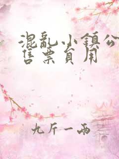 混乱小镇公交车售票员用