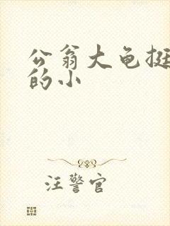 公翁大龟挺进我的小