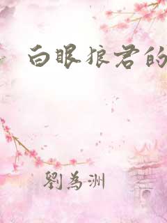 白眼狼君的小说