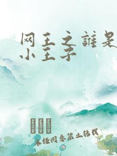 网王之谁是我的小王子