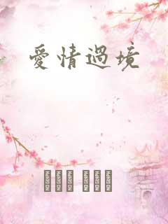 爱情过境