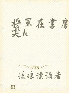 将军在书房含乳尖h