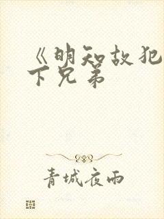 《明知故犯》年下兄弟