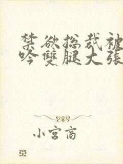 禁欲总裁被C呻吟双腿大张