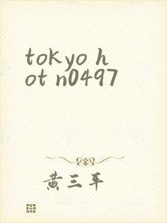 tokyo hot n0497