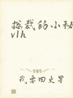 总裁的小秘书1v1h