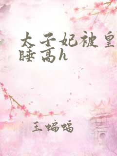 太子妃被皇上强睡高h