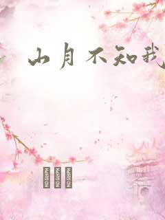 山月不知我心事