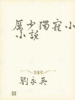 厉少独宠小娇妻 小说