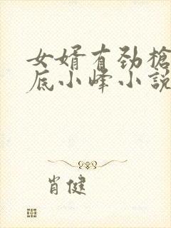 女婿有劲枪枪到底小峰小说