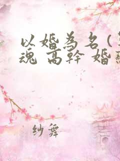 以婚为名 (军魂 高干 婚恋)
