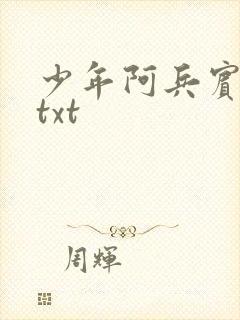 少年阿兵宾小说txt