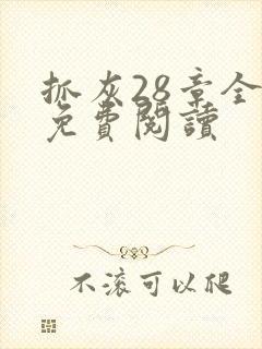 抓灰28章全部免费阅读