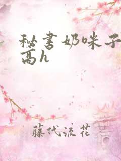 秘书奶咪子真大高h