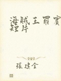 海贼王罗宾被h短片