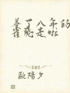 养了八年的金丝雀飞走啦