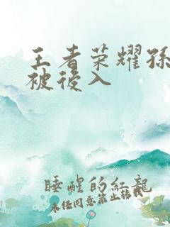 王者荣耀孙尚香被后入