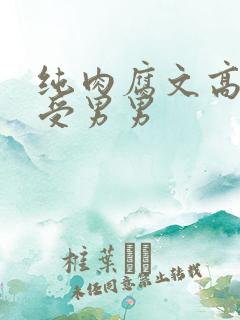 纯肉腐文高H总受男男