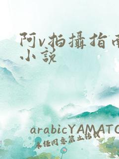 阿v拍摄指南说小说