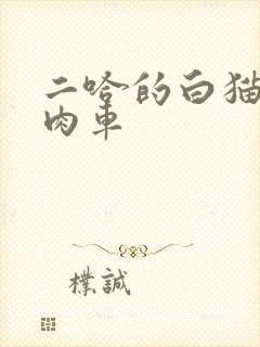 二哈的白猫师尊肉车
