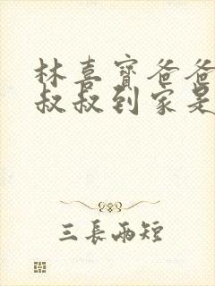 林喜宝爸爸叫李叔叔到家是哪一集