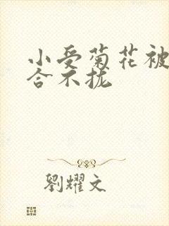 小受菊花被双龙合不拢