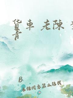 货车 老陈 李青