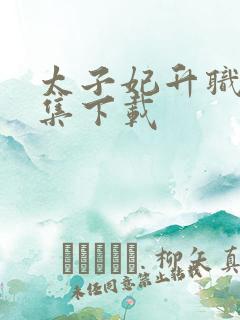 太子妃升职记全集下载