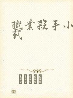 职业杀手小说下载