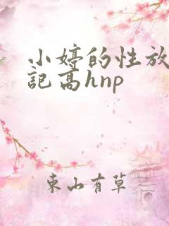 小婷的性放荡日记高hnp