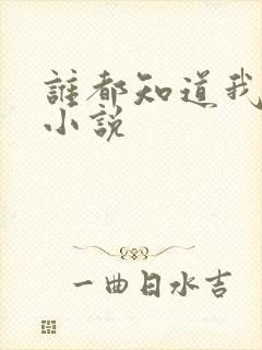 谁都知道我爱你小说