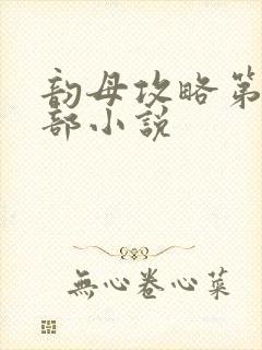 韵母攻略第12部小说