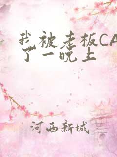 我被老板CAO了一晚上