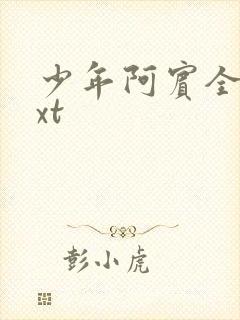 少年阿宾全集txt