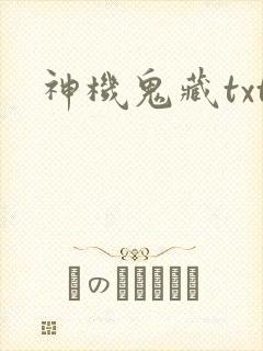 神机鬼藏txt