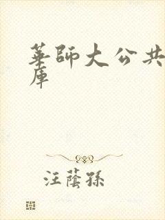 华师大公共数据库