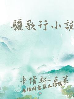 骊歌行小说