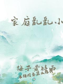 家庭乱乱小说