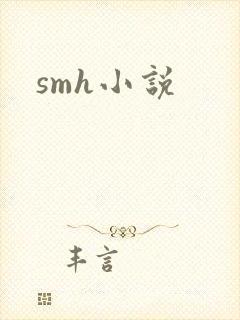smh小说