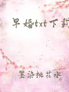 早婚txt下载