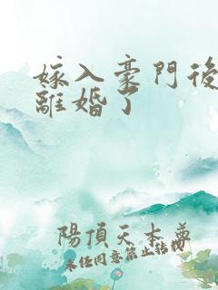 嫁入豪门后我又离婚了