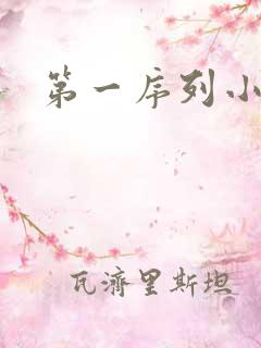 第一序列小说
