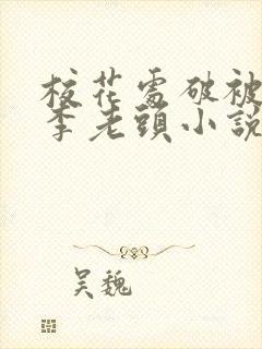 校花处破被灌满李老头小说