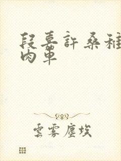 段嘉许桑稚浴室肉车