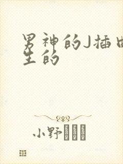 男神的J插曲女生的