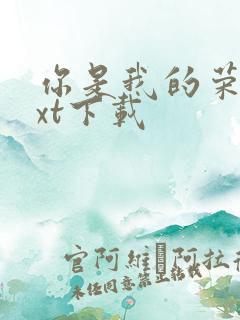 你是我的荣耀txt下载