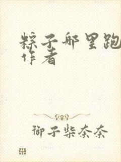 粽子哪里跑小说作者